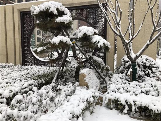 皚皚白雪映紅墻 首府雪景似畫廊