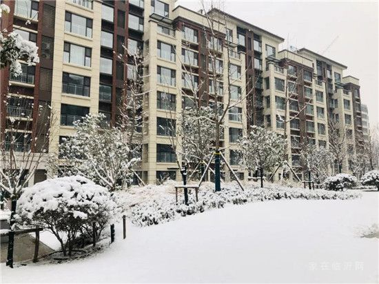 皚皚白雪映紅墻 首府雪景似畫廊