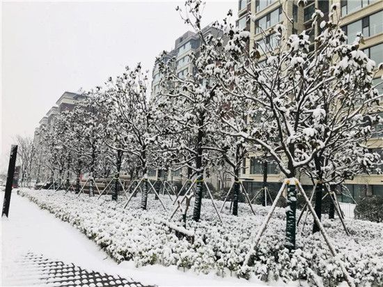 皚皚白雪映紅墻 首府雪景似畫廊