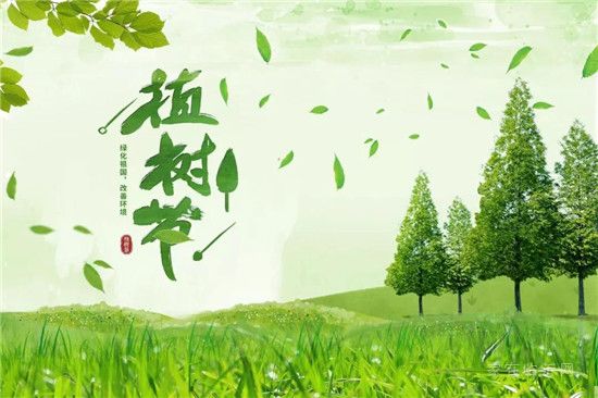 植樹節(jié) | 春意滿滿，擁抱春天