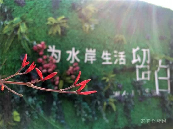 你好！蔚藍(lán)春日