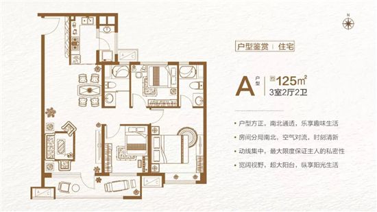 儒辰·玉蘭公館 | 這個周末，帶你邂逅一場夢幻海洋之旅！