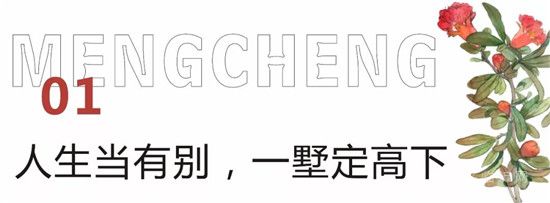 泰鑫·東望府 | 相同的生活，不同的尊貴——疊墅生活