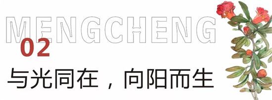 泰鑫·東望府 | 相同的生活，不同的尊貴——疊墅生活