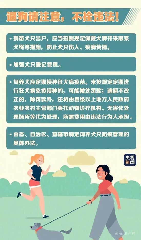 正式實施！5月1日開始遛狗不拴繩違法，這些路段將交通管制！