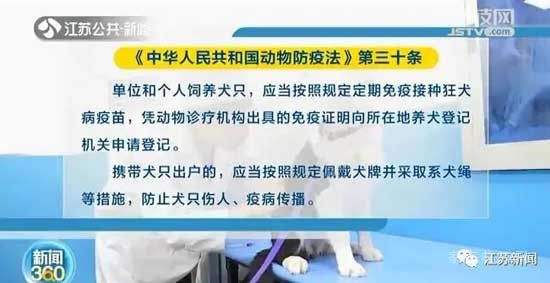 正式實施！5月1日開始遛狗不拴繩違法，這些路段將交通管制！