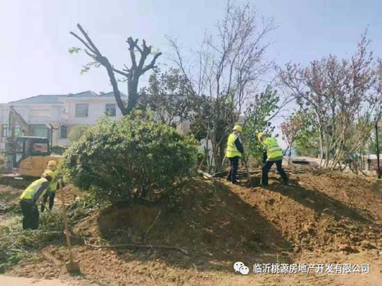 瑞德新居園林改造突飛猛進(jìn)，見證‘家’速度