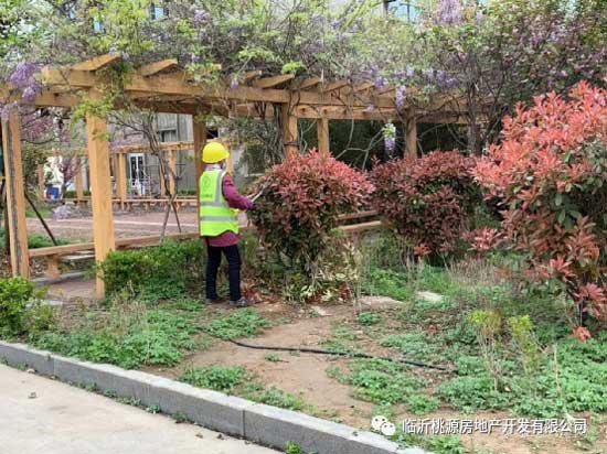 瑞德新居園林改造突飛猛進(jìn)，見證‘家’速度