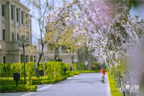 【白鷺金岸】周末活動 | 帽美如花，繽紛初夏