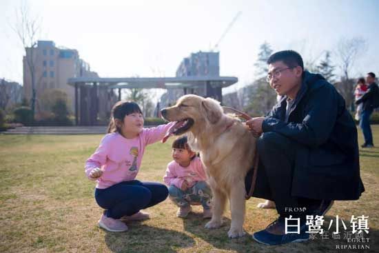 白鷺小鎮(zhèn)人群篇丨綻放生活的更多想象