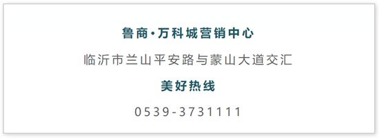 開業(yè)一年，魯商萬科城平安小街如何成為臨沂街區(qū)的商業(yè)范本？